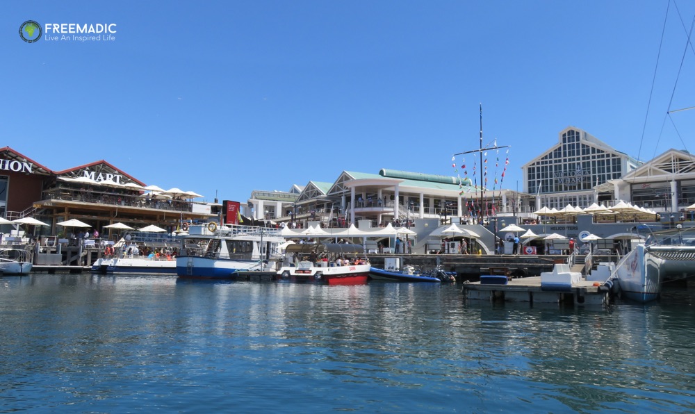 freemadic_cape_town_citysightseeing_bus_harbour_cruise_waterfront